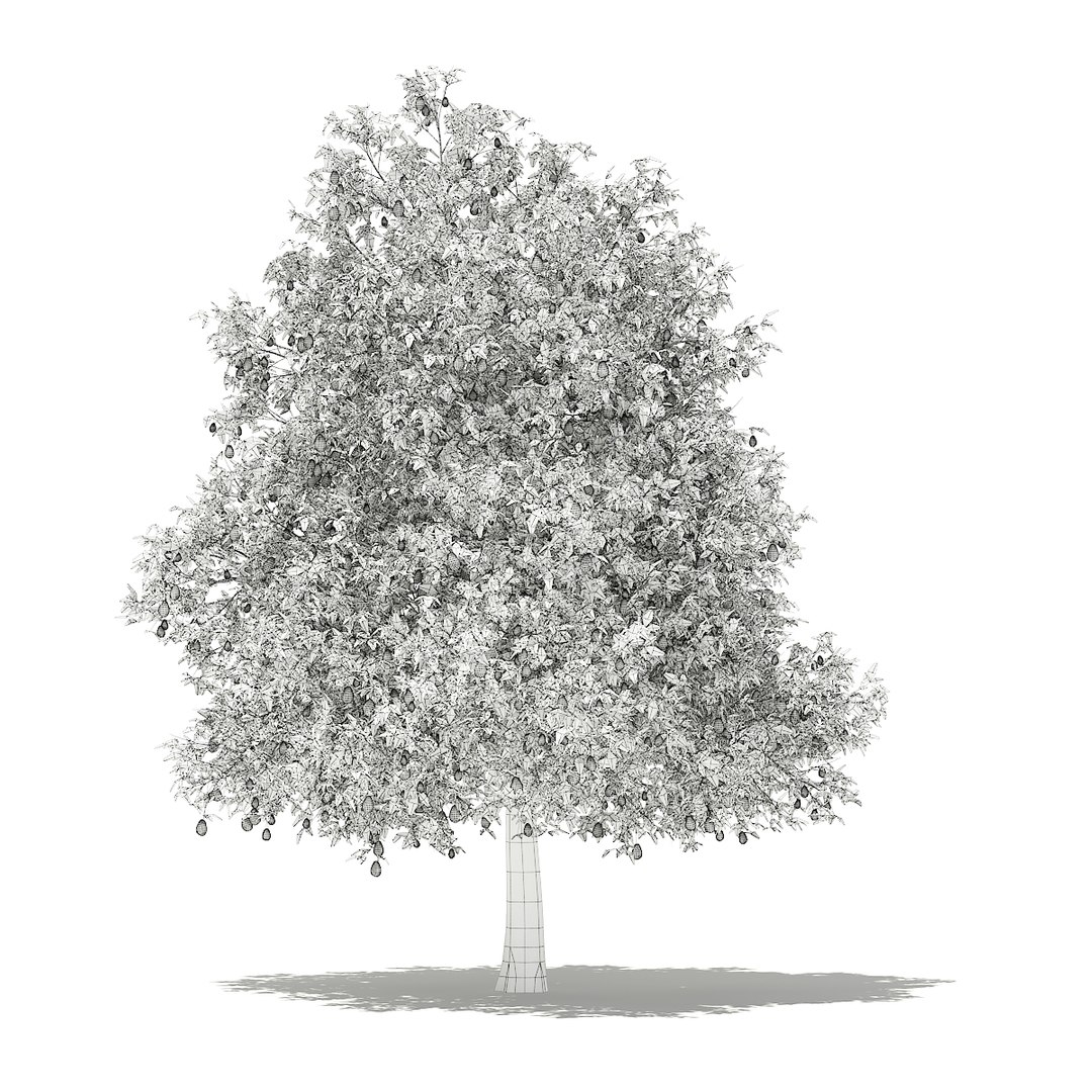 3D fruit trees volume 105 https://p.turbosquid.com/ts-thumb/PG/LIpBge/xd7CkMQi/cgaxis_models_105_0800grid/jpg/1533498033/1920x1080/fit_q87/d9dd6e75245fd94027b3ac8dc3c4513ca35d42b4/cgaxis_models_105_0800grid.jpg