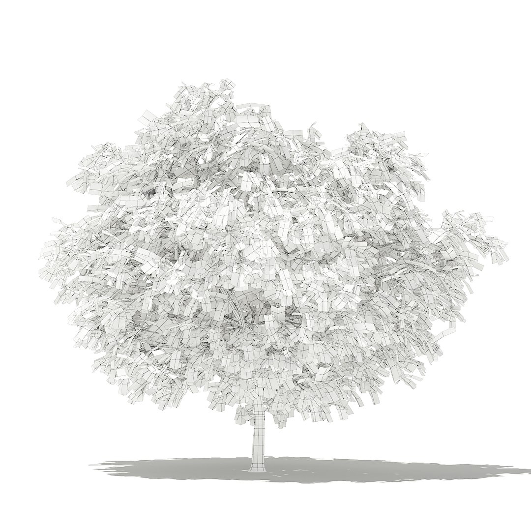 3D fruit trees volume 105 https://p.turbosquid.com/ts-thumb/PG/LIpBge/yGUWxZIn/cgaxis_models_105_5100grid/jpg/1533498034/1920x1080/fit_q87/ad1443a9c93c15a6f6874fe5fb9cc013bf8195d7/cgaxis_models_105_5100grid.jpg