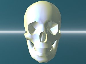 3d model skull head