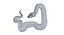 3D model Blood Python -  Rigged