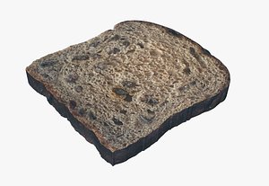 3D model cinnamon bread raisin food