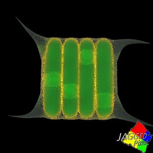 3d green algea model