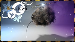 bird character funny