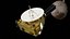 Sonda Spaziale Nuovi Orizzonti