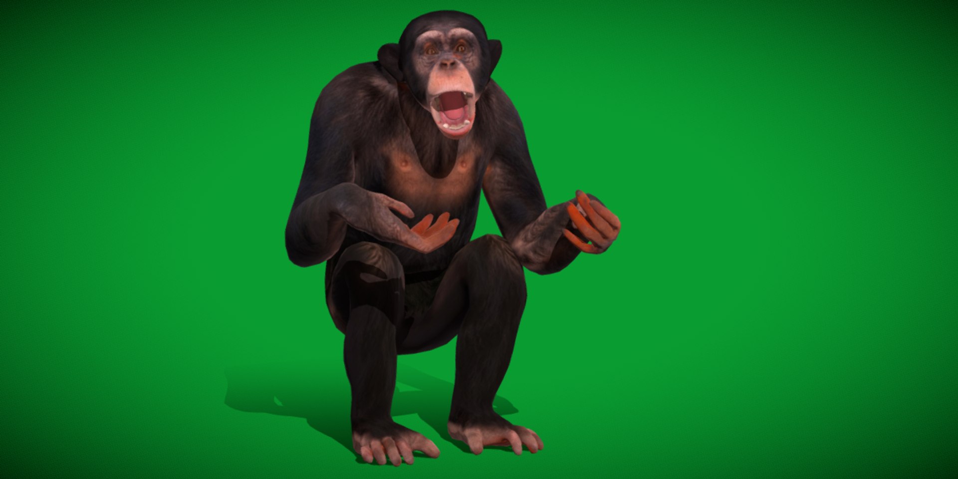 Chimpanzee Ape Primate 3D Model - TurboSquid 2344202