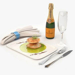 3d model luxury aircraft food vip