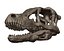 Velociraptor-Schädel 3D-Druckmodell