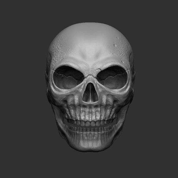 Skull head 3D model - TurboSquid 1426410