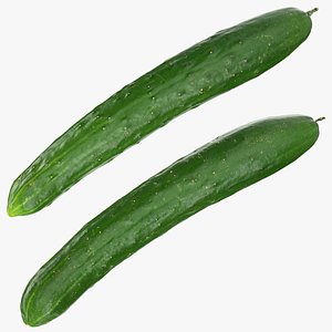 3D model Japanese Cucumber Whole Collection