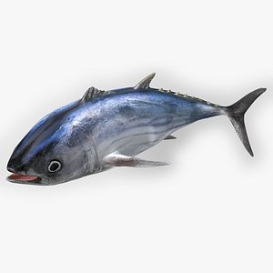 TUNA FISH Rigged L1549
