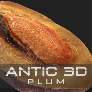 A plum and half a pitted plum