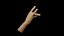 MANO DI LUPO
