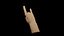 MANO DI LUPO