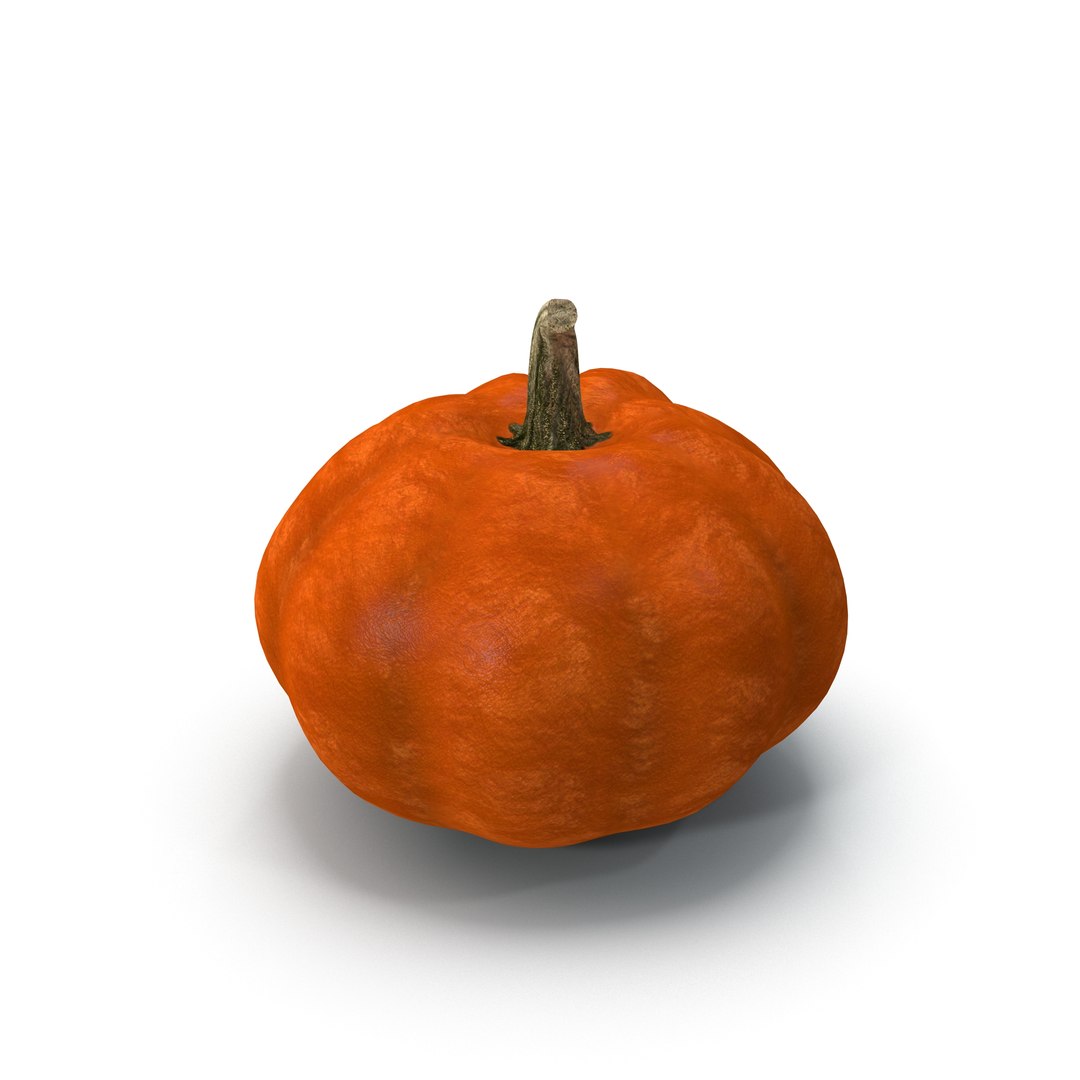 3ds max pumpkin https://p.turbosquid.com/ts-thumb/PH/YBkiCK/4HkCTdpC/10091/jpg/1409575289/1920x1080/fit_q87/b2d7008ca04ea4719f2506a08f9277408e945f45/10091.jpg