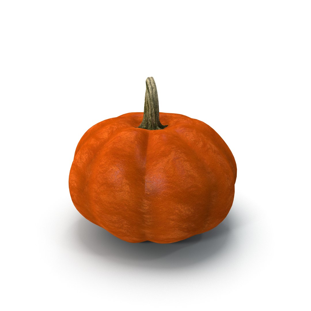 3ds max pumpkin https://p.turbosquid.com/ts-thumb/PH/YBkiCK/GOREWGdr/10083/jpg/1409575289/1920x1080/fit_q87/eb5d97d5163e1d257352a9c1f292641c78bad24a/10083.jpg