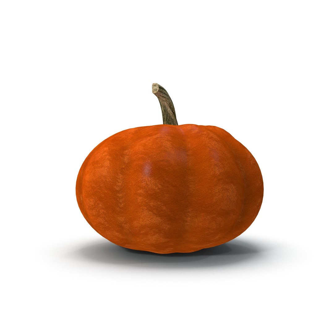 3ds max pumpkin https://p.turbosquid.com/ts-thumb/PH/YBkiCK/PP0yBbot/10125/jpg/1409575289/1920x1080/fit_q87/049cae60b41c60f4dbdf7c216e7f63641569903e/10125.jpg