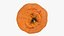 Dekopon Naranja 02