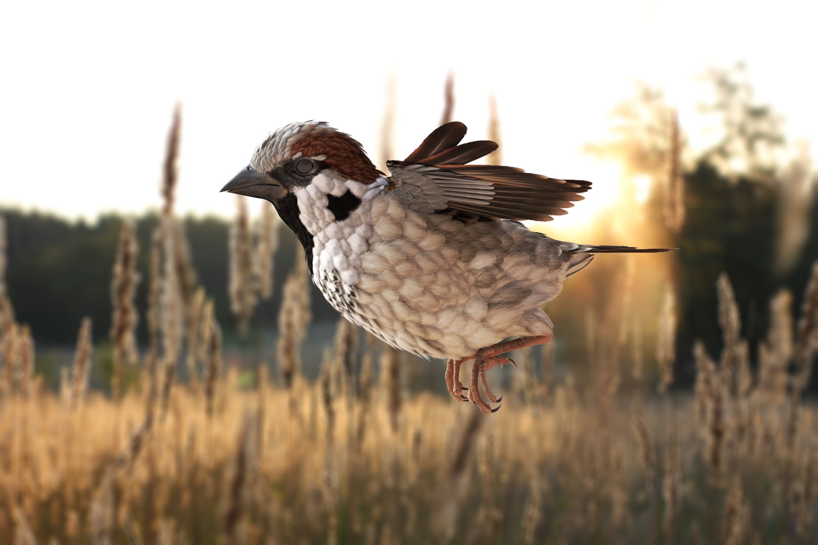 house sparrow flying pose 3D model https://p.turbosquid.com/ts-thumb/PH/egQnSh/80AfkxgH/housesparrowflyingpose3dsmodel002/jpg/1551144032/1920x1080/fit_q87/1d0edc88d28600fb8a1ea8ff1728a342a472cf48/housesparrowflyingpose3dsmodel002.jpg