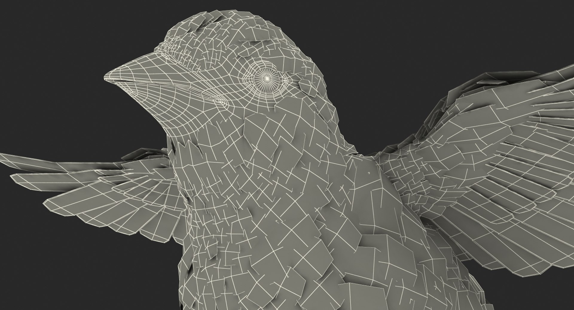 house sparrow flying pose 3D model https://p.turbosquid.com/ts-thumb/PH/egQnSh/ABok3wct/housesparrowflyingpose3dsmodel019/jpg/1551144115/1920x1080/fit_q87/aa4f6435f5b902da66c9001c7861102e62a29de9/housesparrowflyingpose3dsmodel019.jpg