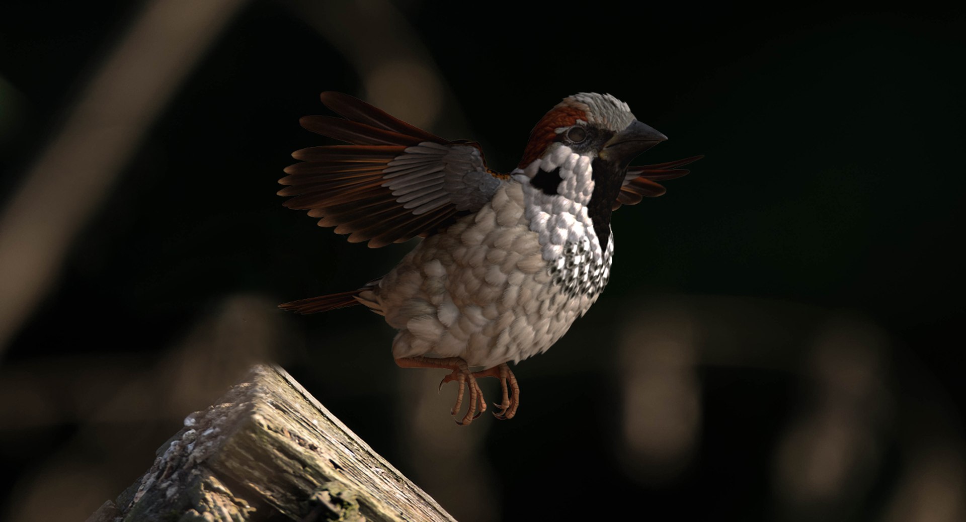 house sparrow flying pose 3D model https://p.turbosquid.com/ts-thumb/PH/egQnSh/NCcoAEkV/housesparrowflyingpose3dsmodel003/jpg/1551144035/1920x1080/fit_q87/76818a67445eab11d35aea7f33ccb4d8077b730d/housesparrowflyingpose3dsmodel003.jpg