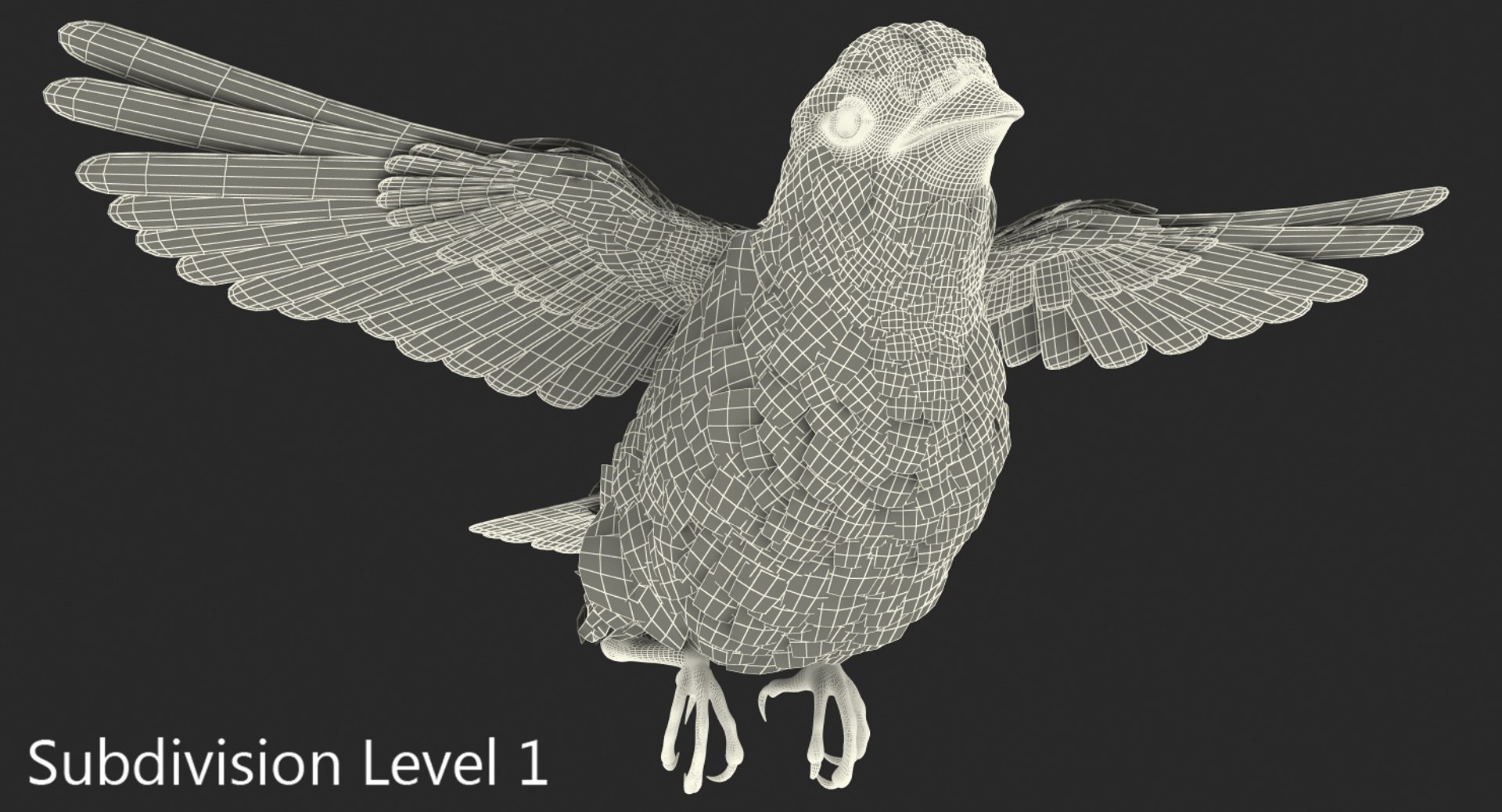 house sparrow flying pose 3D model https://p.turbosquid.com/ts-thumb/PH/egQnSh/X4OtMDDx/housesparrowflyingpose3dsmodel011/jpg/1551144084/1920x1080/fit_q87/21da06e089fde974f6ef479865d065ab24162cec/housesparrowflyingpose3dsmodel011.jpg