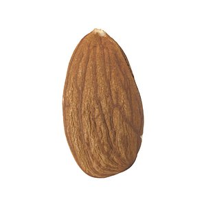 Highly Detailed Almond Scan