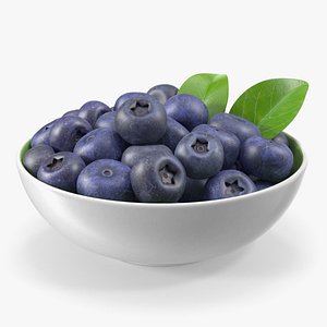 Fresh Blueberries in Bowl 3D model