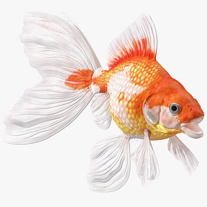 White Goldfish Aquarium Fish Rigged