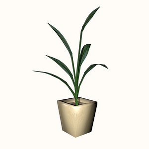 Indoor Plant v1