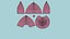 12 스포츠 컬렉션 - 빈 모의 기본 템플릿