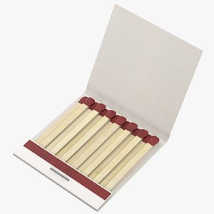 Box Of Matches 3D model