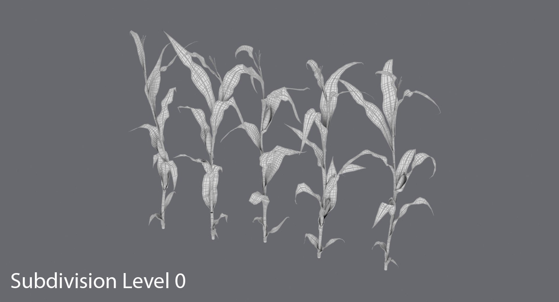 3D corn-stalks-and-patch---row model https://p.turbosquid.com/ts-thumb/PI/jjrPL9/NFVUdcVk/corn_stalks_row_wireframe_0002/jpg/1541698291/1920x1080/fit_q87/b2940c8ab1809e4067286e6165cc874edbfba68a/corn_stalks_row_wireframe_0002.jpg