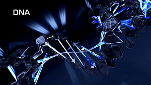 DNA animation