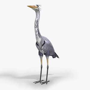 3D model Heron