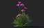 3D grass flower ground cover model