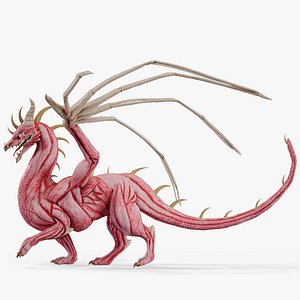3D Dragon Anatomy Rigged PBR