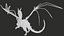 3D Dragon Anatomy Rigged PBR