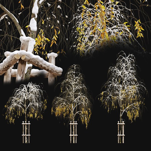 modelo 3d Sauce llorón de invierno TurboSquid 1932547