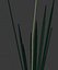 Reed