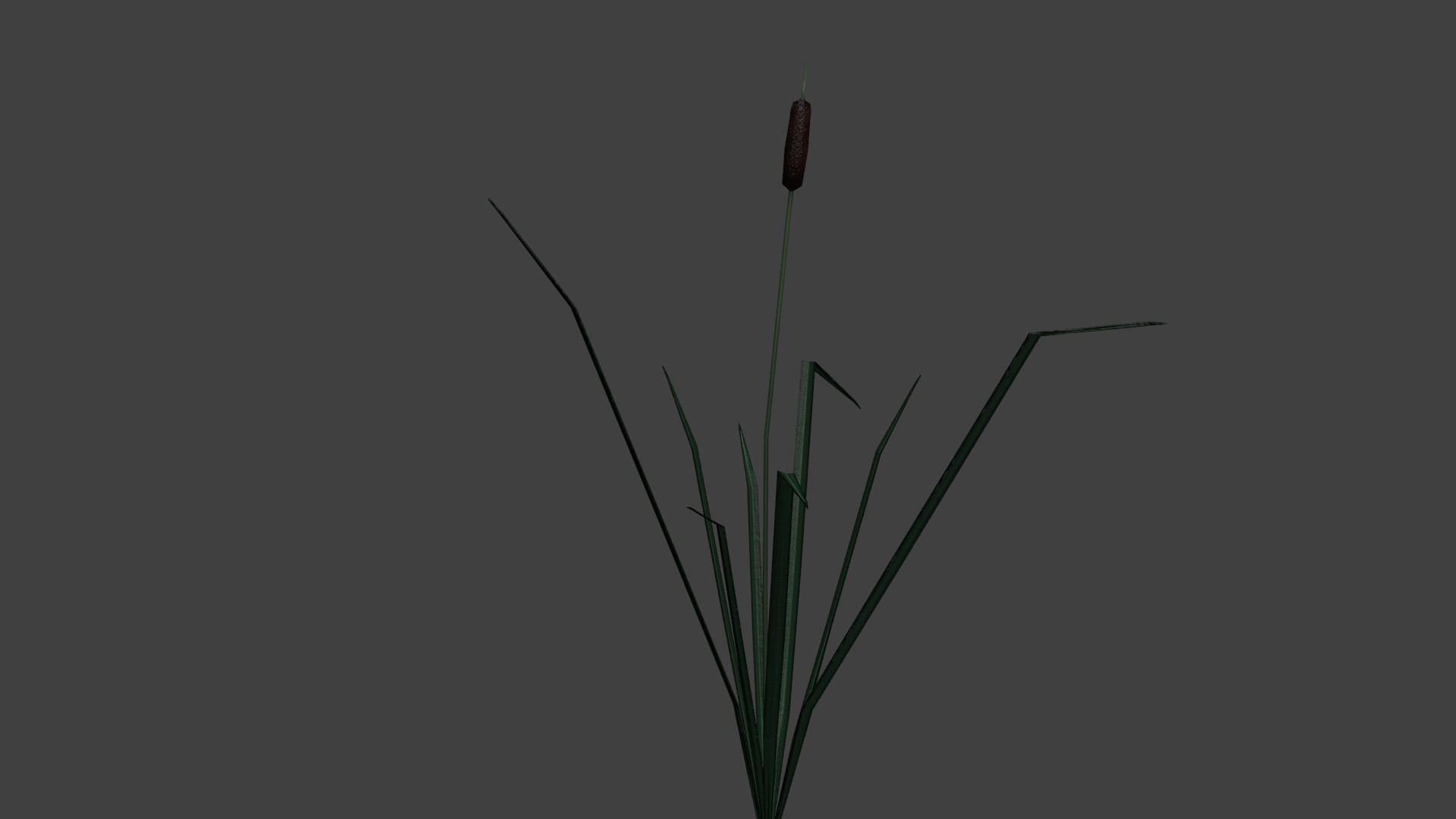 3d Reed Model