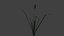 3d reed model