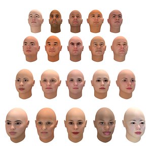 100 Human head basemeshman  woman 3D model