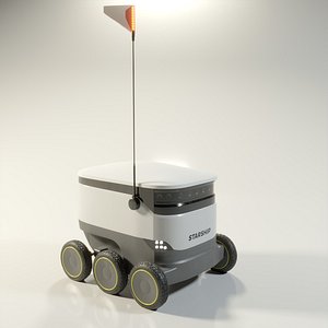 3D Food Delivery Robot