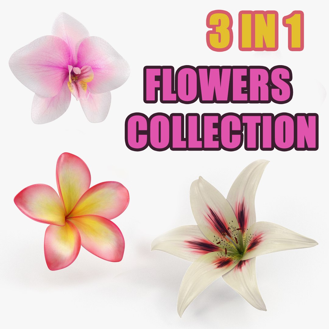 Flowers Collection 5 3D model preview