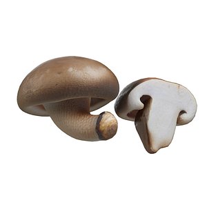 3D Mushroom 19