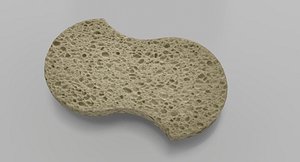 sponge 3d max