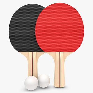 Ping Pong Paddle