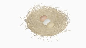 3D birds Nest