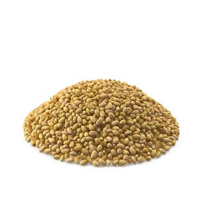 Coriander Seeds model