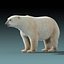 Polar Bear(FUR)
